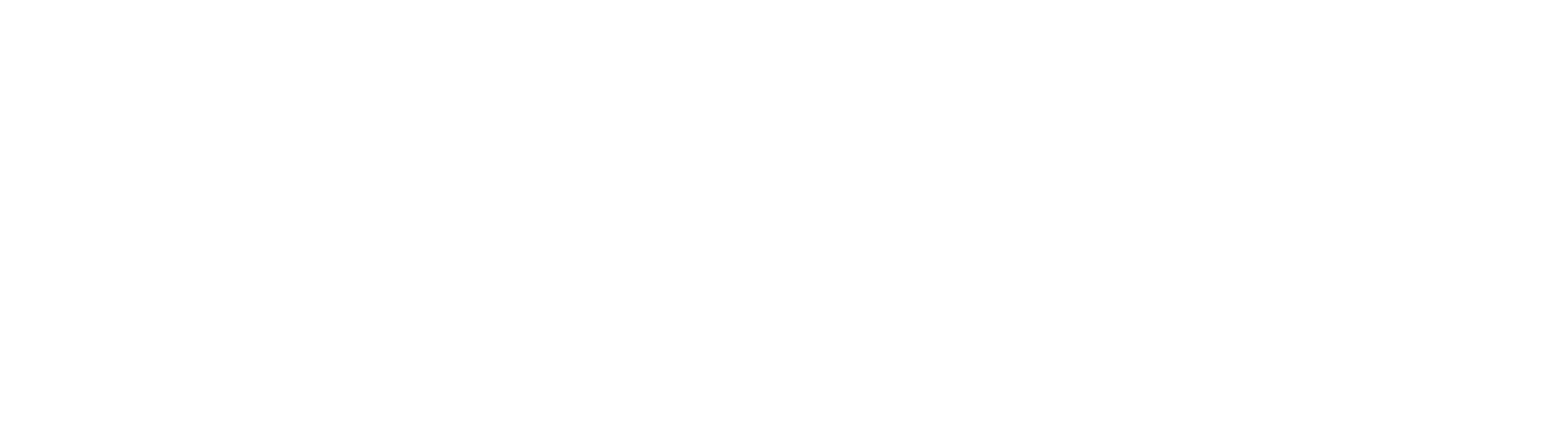 Polzin Financial tax strategy and wealth planning logo